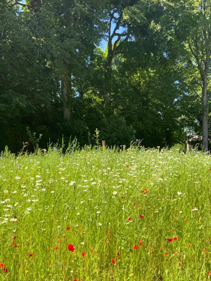 Red River Stables - Peaceful, Beautiful Grounds, Swimming Pool, Central Location For West Cornwall Кембърн Екстериор снимка
