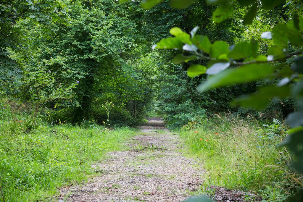 Red River Stables - Peaceful, Beautiful Grounds, Swimming Pool, Central Location For West Cornwall Кембърн Екстериор снимка